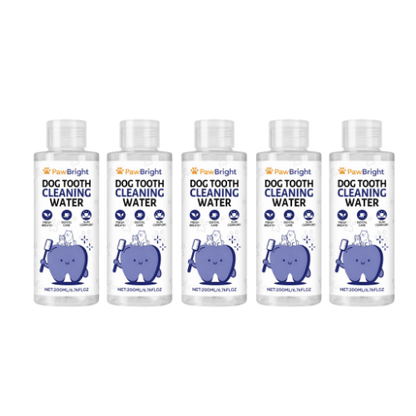 PawBright™ Dental+